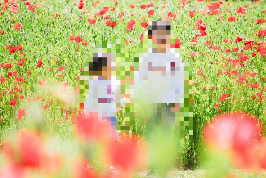 馬見丘陵公園のポピー