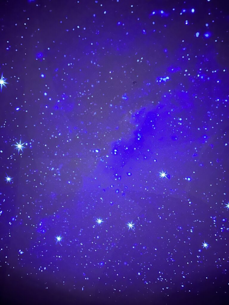 関西万博 オランダ
