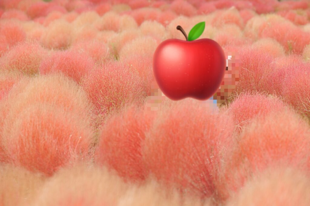 馬見丘陵公園コキア